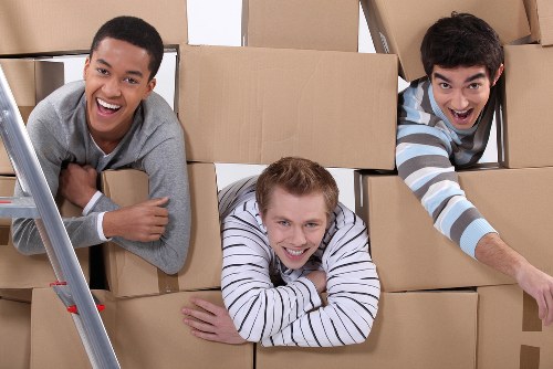 Man with van service handling a home move in Harold Park