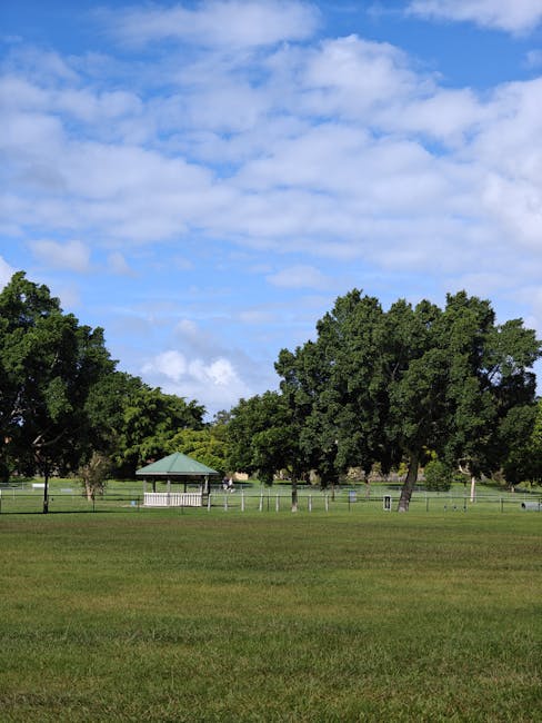 A photograph showing a spacious outdoor area near Raphael Park, featuring a lawn with green grass and several mature trees with dense foliage. In the background, there is a small pavilion with a green roof and white supporting pillars, situated within a fenced section of the park. The sky above is partly cloudy with patches of blue and scattered white clouds. The scene is well-lit by natural daylight, with no visible vehicles or people. This setting reflects a typical park environment suitable for home relocation activities such as portable furniture storage or outdoor packing preparations. As part of their house removals services, Man with Van Harold Park often coordinates the safe transport and handling of packing materials, boxes, and furniture within such environments to facilitate efficient moving near Raphael Park.