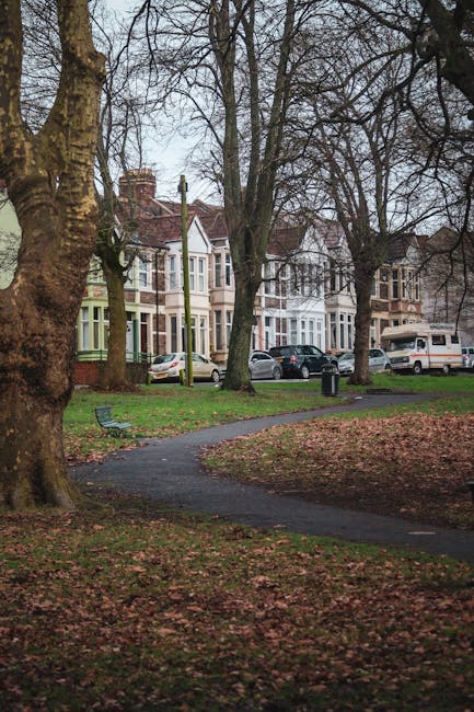 A tree-lined residential street in Harold Park, showing several multi-storey Victorian-style houses with bay windows and brick facades. The houses are painted in different pastel colours, such as light green, white, and beige. In the foreground, a paved footpath curves through a small park area with grass and fallen leaves, indicating a late autumn or early winter setting. Several parked cars, including a silver hatchback, a dark blue vehicle, and a white van, are visible along the street in front of the houses. The area appears calm and well-maintained, with leafless trees and overcast skies. This scene provides a typical view of the neighbourhood where local house removals and home relocation services, such as those offered by Man with Van Harold Park, often operate, supporting safe and efficient furniture transport and packing processes within the community.